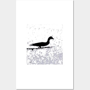 Frozen Duck Duck Shadow Posters and Art